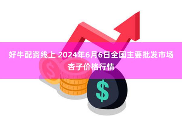 好牛配资线上 2024年6月6日全国主要批发市场杏子价格行情