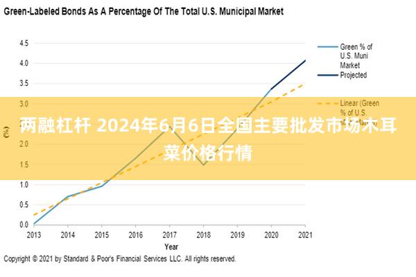 两融杠杆 2024年6月6日全国主要批发市场木耳菜价格行情