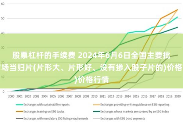 股票杠杆的手续费 2024年6月6日全国主要批发市场当归片(片形大、片形好、没有掺入股子片的)价格行情