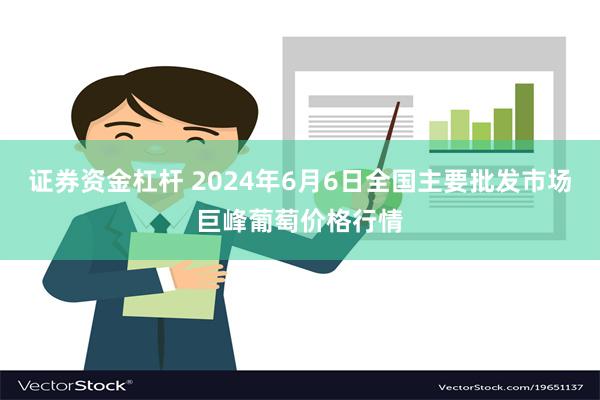 证券资金杠杆 2024年6月6日全国主要批发市场巨峰葡萄价格行情