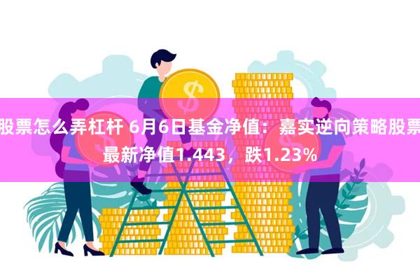 股票怎么弄杠杆 6月6日基金净值：嘉实逆向策略股票最新净值1.443，跌1.23%