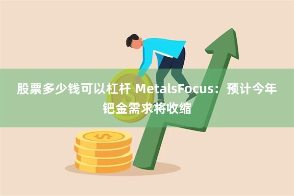 股票多少钱可以杠杆 MetalsFocus：预计今年钯金需求将收缩