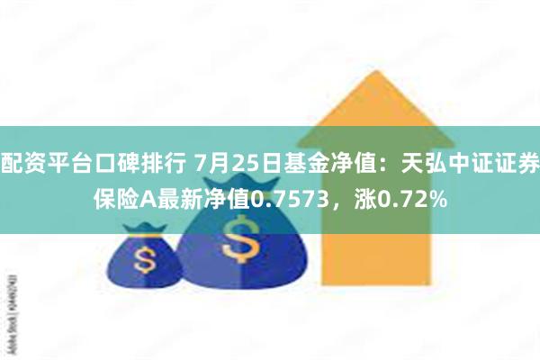 配资平台口碑排行 7月25日基金净值：天弘中证证券保险A最新净值0.7573，涨0.72%