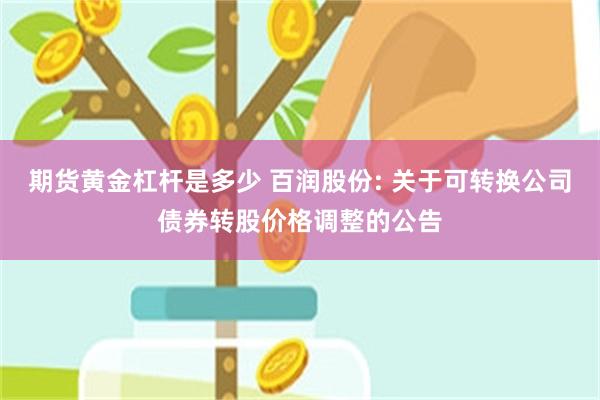 期货黄金杠杆是多少 百润股份: 关于可转换公司债券转股价格调整的公告