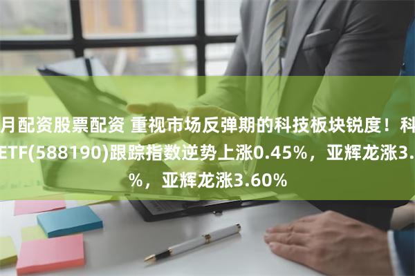 按月配资股票配资 重视市场反弹期的科技板块锐度！科创100ETF(588190)跟踪指数逆势上涨0.45%，亚辉龙涨3.60%