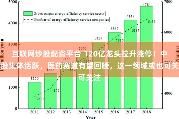 互联网炒股配资平台 120亿龙头拉升涨停！中药股集体活跃，医药赛道有望回暖，这一领域或也可关注