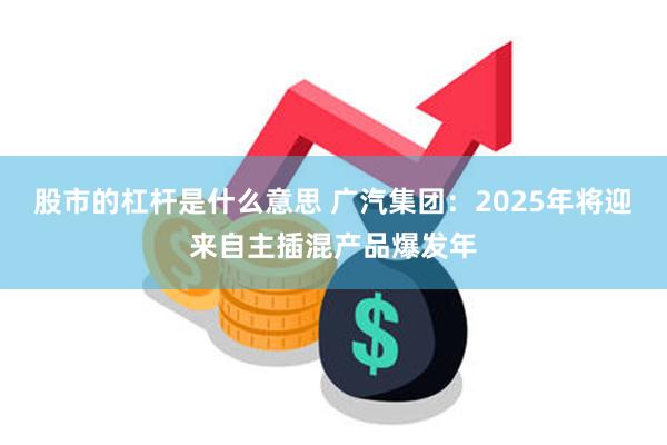 股市的杠杆是什么意思 广汽集团：2025年将迎来自主插混产品爆发年