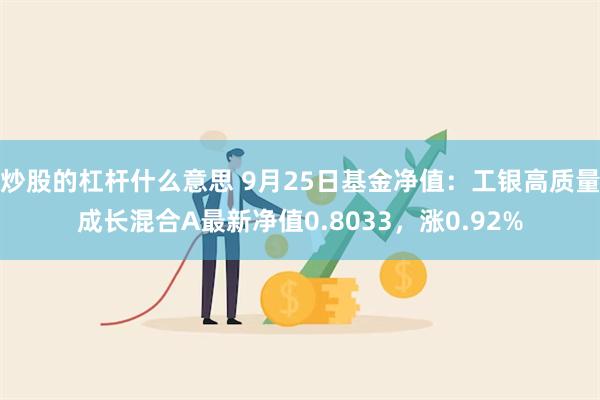 炒股的杠杆什么意思 9月25日基金净值：工银高质量成长混合A最新净值0.8033，涨0.92%