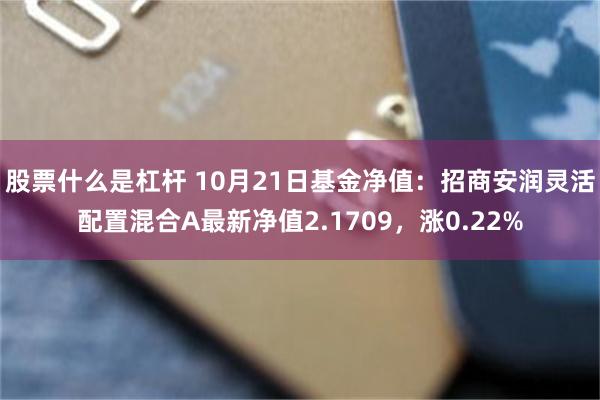 股票什么是杠杆 10月21日基金净值：招商安润灵活配置混合A最新净值2.1709，涨0.22%