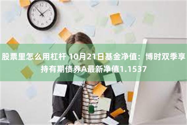 股票里怎么用杠杆 10月21日基金净值：博时双季享持有期债券A最新净值1.1537