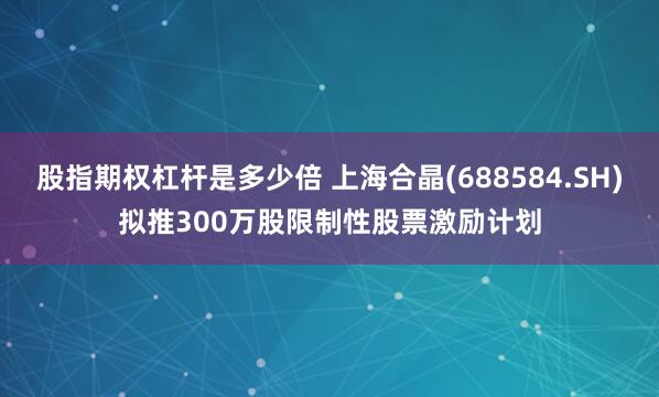 股指期权杠杆是多少倍 上海合晶(688584.SH)拟推300万股限制性股票激励计划