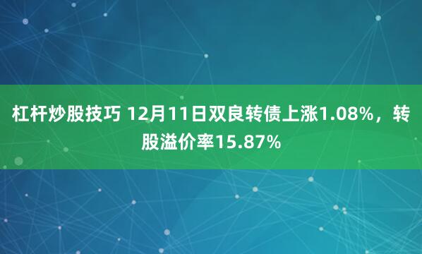 杠杆炒股技巧 12月11日双良转债上涨1.08%，转股溢价率15.87%