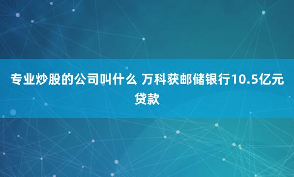 专业炒股的公司叫什么 万科获邮储银行10.5亿元贷款