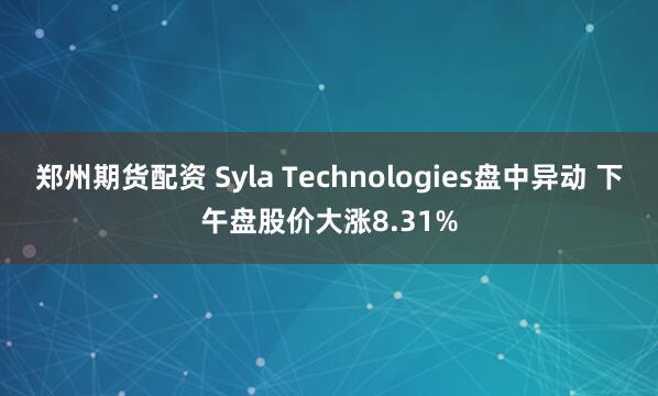 郑州期货配资 Syla Technologies盘中异动 下午盘股价大涨8.31%